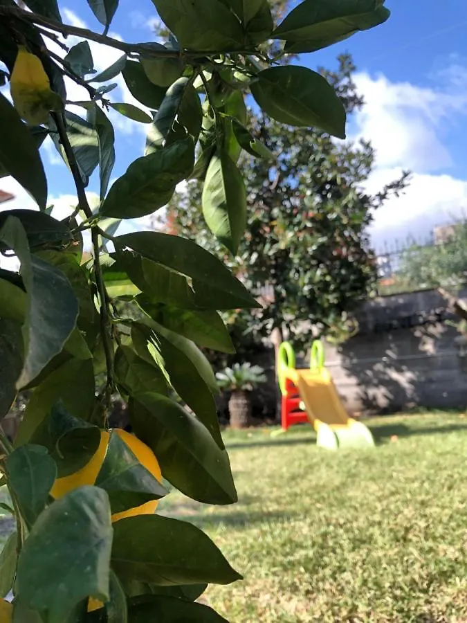 Etna Holiday Zafferana Etnea 0*,