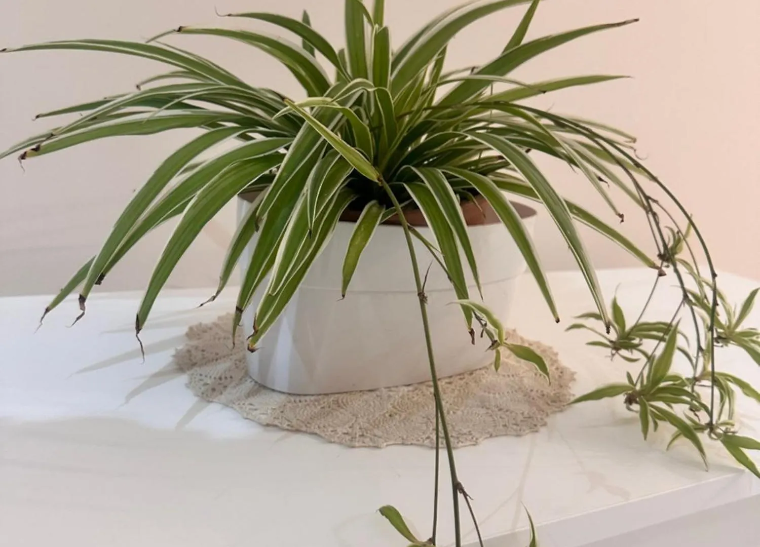 Appartement Etna Holiday Zafferana Etnea Italië
